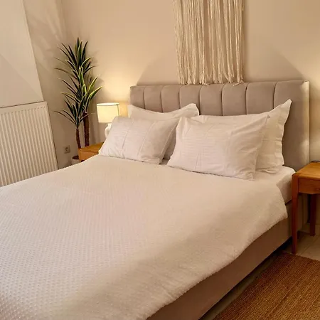 Vigneti & Ii (adults Only) Ambelokipoi (Zakynthos)